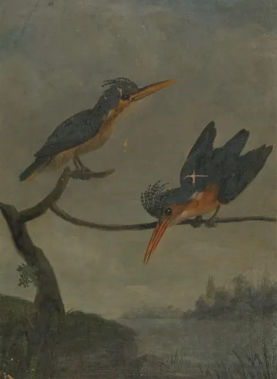 Two Kingfishers Beside A Lake 2
