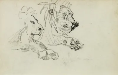 Two Lion Studies