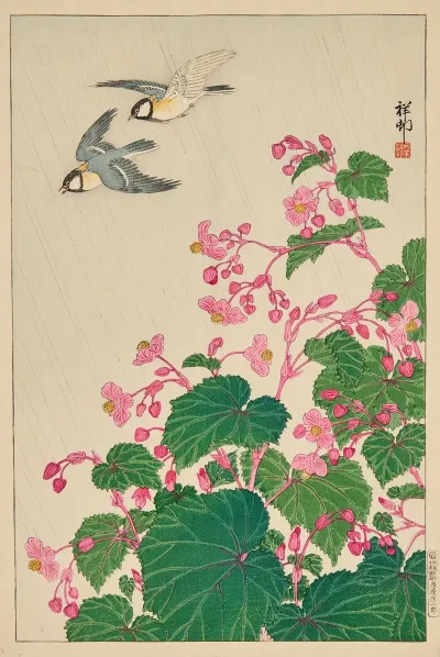 Two Manchurian Great Tits In Flight Above Begonia