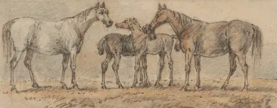 Two Mares With Their Foals
