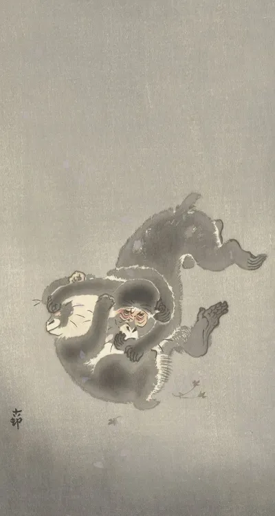 Two Monkeys Playing