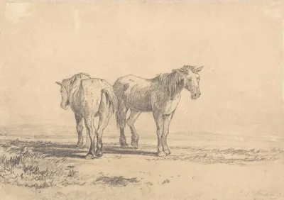 Two Old Horses Standing In A Field