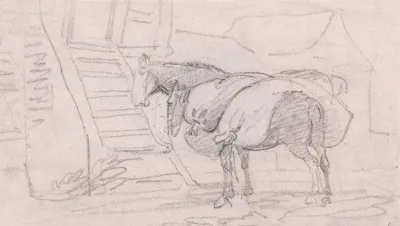 Two Pack Horses