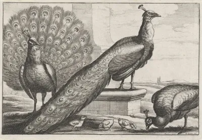 Two Peacocks A Peahen And Three Chicks