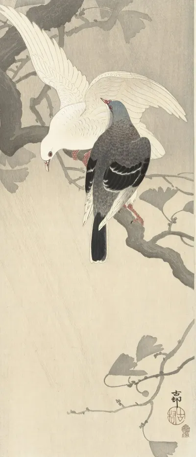 Two Pigeons On A Branch