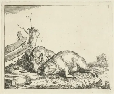 Two Pigs Lying By A Fence