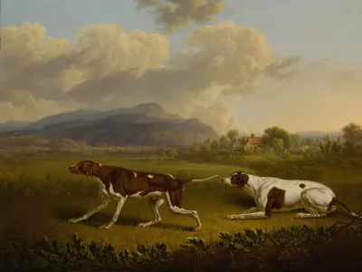 Two Pointers In A Landscape