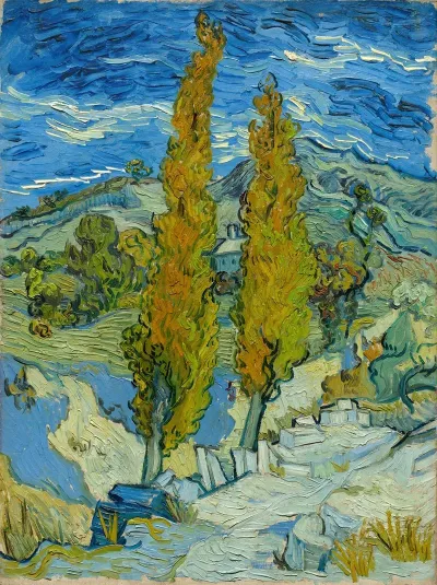 Two Poplars In The Alpilles Near Saint Remy 2