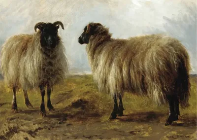 Two Rams In A Landscape