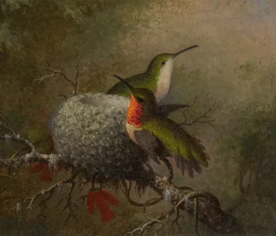 Two Ruby Throats By Their Nest