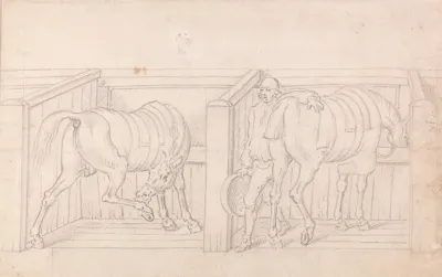 Two Saddled Horses In Stalls In A Stable