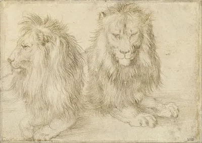 Two Seated Lion