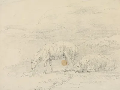 Two Sheep 3
