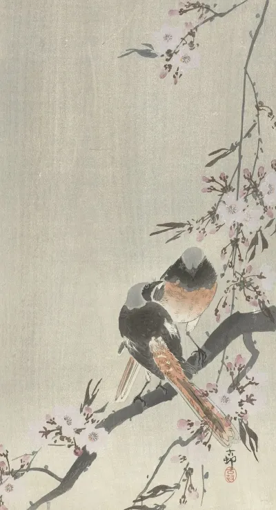 Two Siegeled Redtails With Cherry Blossom