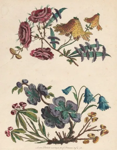 Two Sprays Of Imaginary Flowers 2
