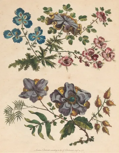 Two Sprays Of Imaginary Flowers