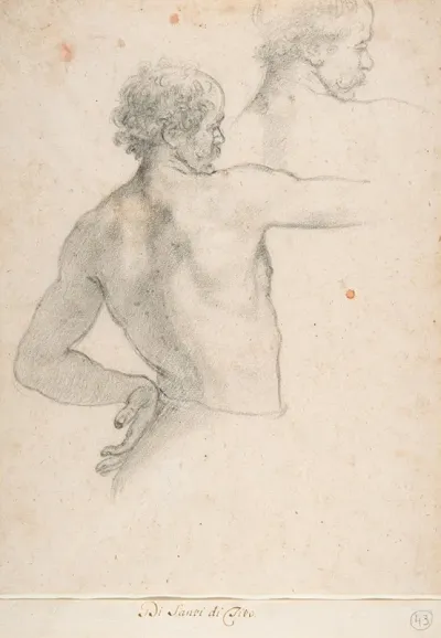 Two Studies Of A Man 2