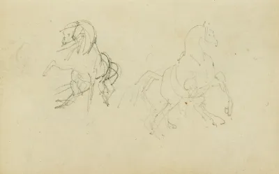Two Studies Of A Rearing Horse