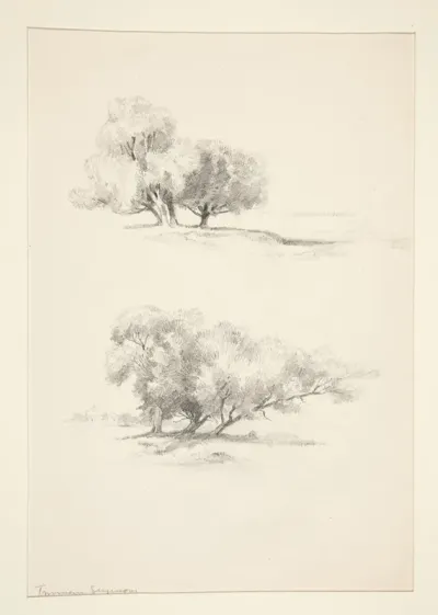 Two Studies Of Trees