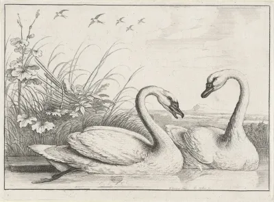 Two Swans Swimming With An Old Fishing Weir On The River Bank At Left And Five Swallows Flying Overhead