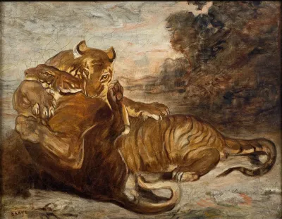 Two Tigers At Play