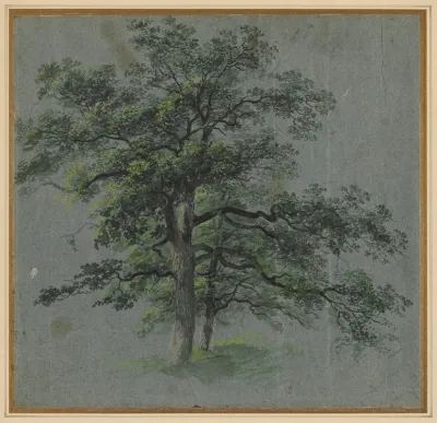 Two Trees 2