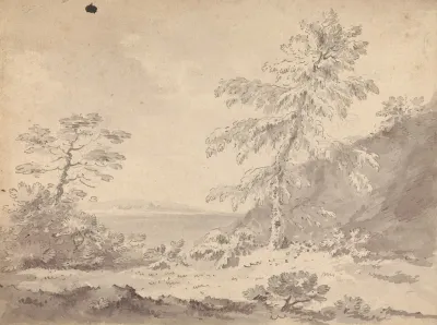 Two Trees In A Landscape