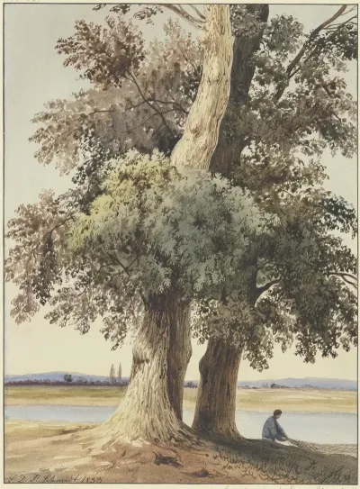 Two Trees On The River