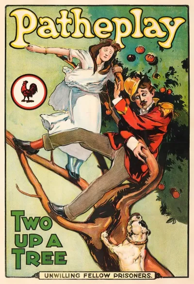 Two Up A Tree