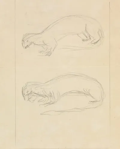 Two Weasels