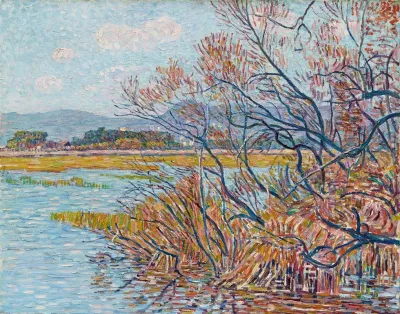 Uberschwemmung Bei Hyeres Mit Baumgestrupp Und Schilfgras Am Ufer