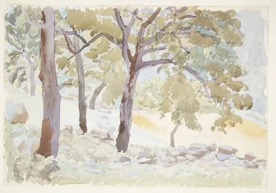 Udkanten Af En Skov