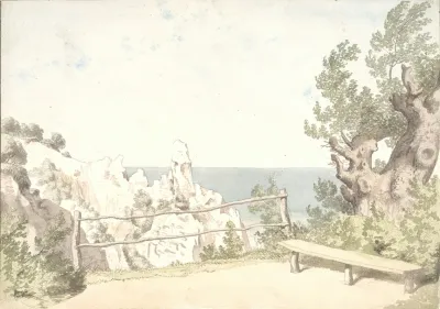 Udsigt Fra Mons Klint Ved Sommerspiret 2