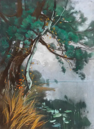 Uferlandschaft Mit Kiefern Und Seerosen Schwielowsee