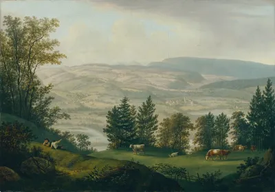 Umgebung Der Ruine Habsburg 5