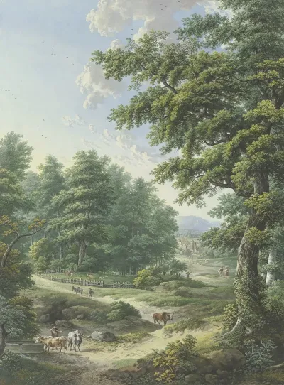 Umzaunter Weideplatz Im Wald Im Vordergrund Eine Viehtranke