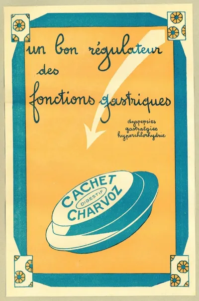 Un Bon Regulateur Des Fonctions Gastriques