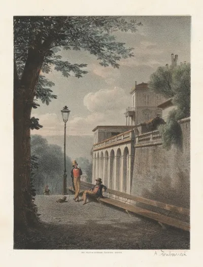 Un Coin De La Treille