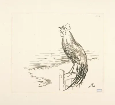 Un Coq Perche Sur Un Seau Devant La Mer