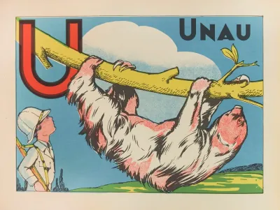 Unau