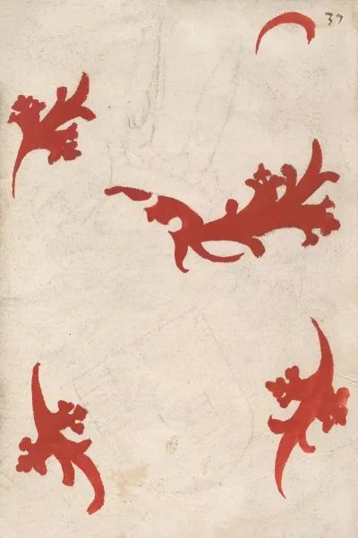 Unfinished Coat Of Arms Of Loon Heinsberg