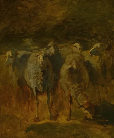 Unfinished Study Of Sheep