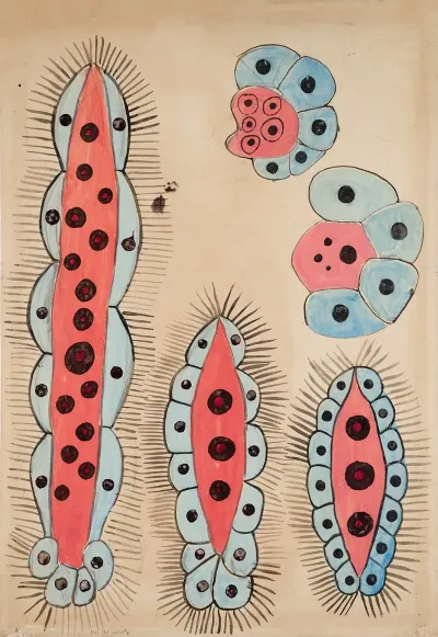 Unidentified 6