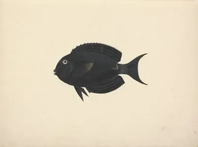 Unidentified Fish 8