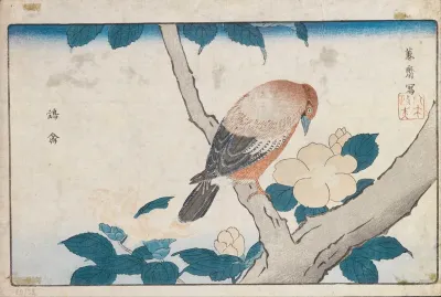 Untitled 191