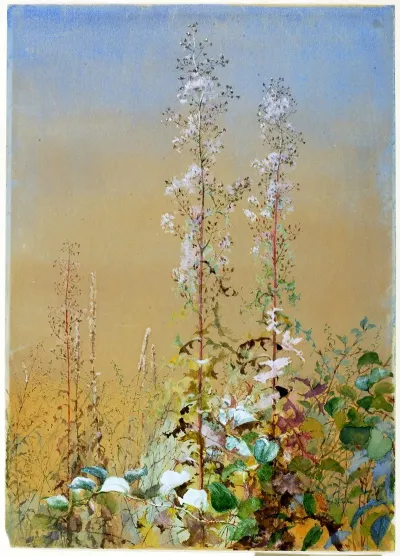 Untitled 20
