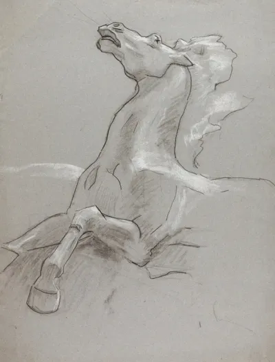 Untitled 44