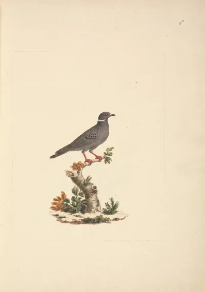 Untitled Bird