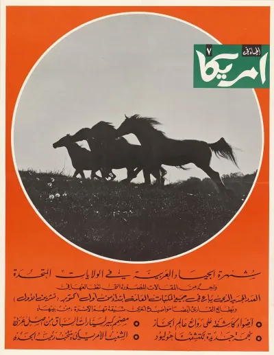 Untitled Foreign Language