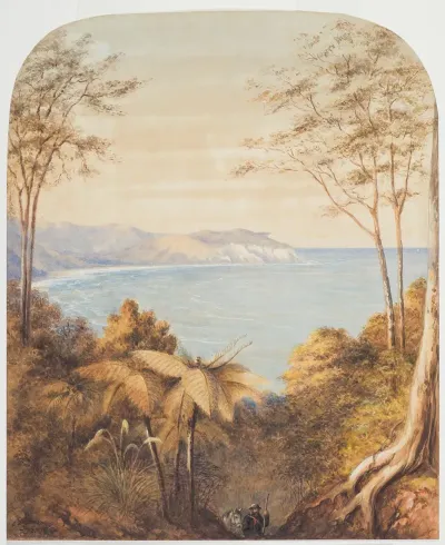 Untitled New Zealand Seascape